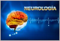 Neurologia-5-300